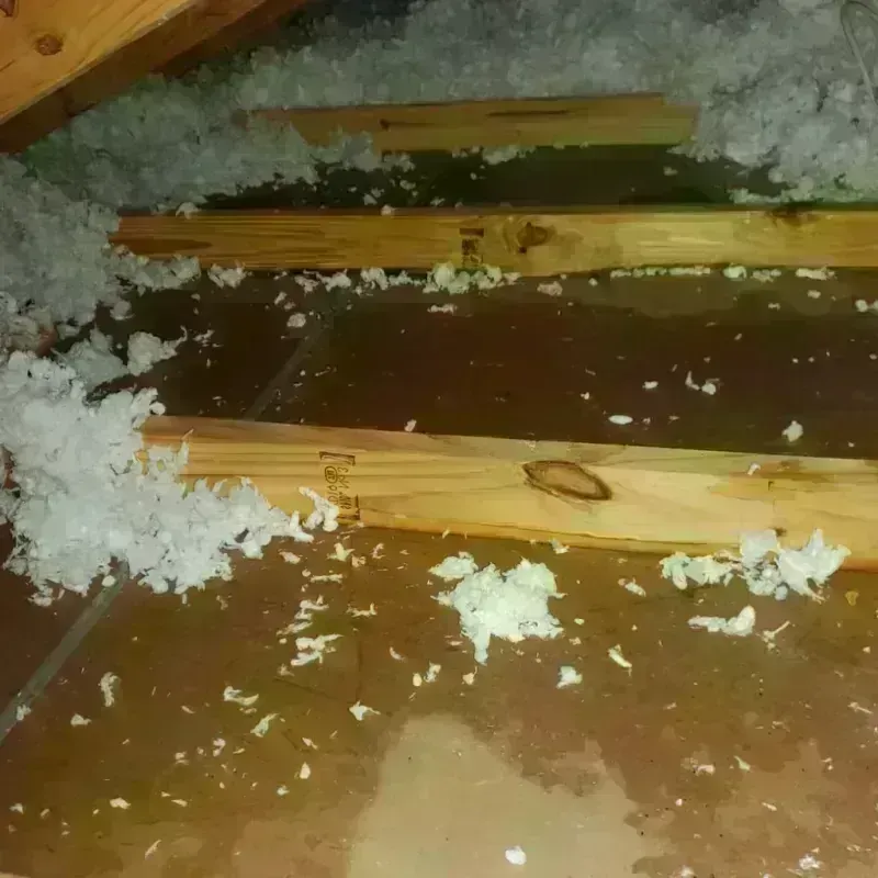 Attic Water Damage in Aurora, NE