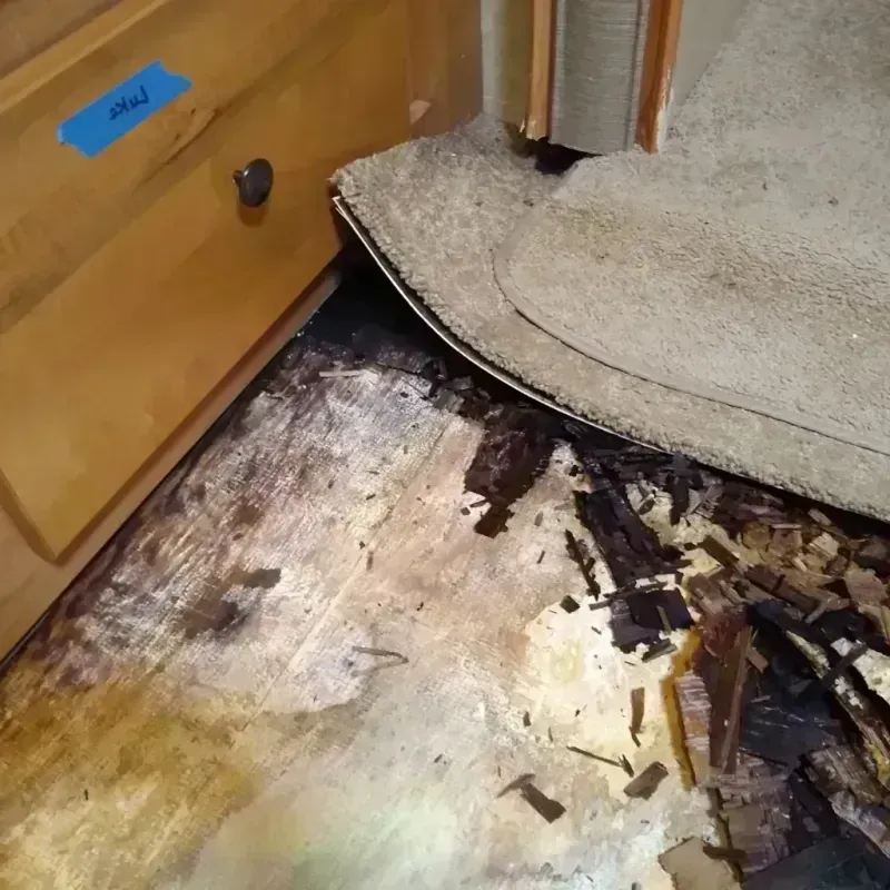 Wood Floor Water Damage in Aurora, NE